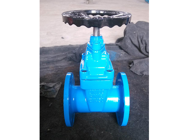 暗杆(gan)彈性座封(feng)閘閥